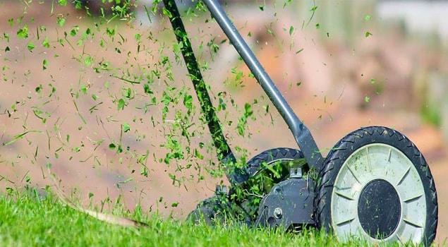 Une entreprise spécialisée en travaux de pelouse à Vincennes dans le 94